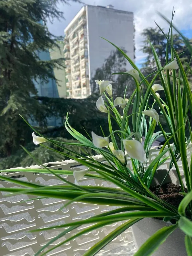 Jonexh Apartments Tirana Albania