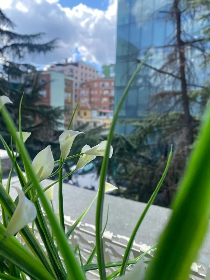Jonexh Apartments Tirana